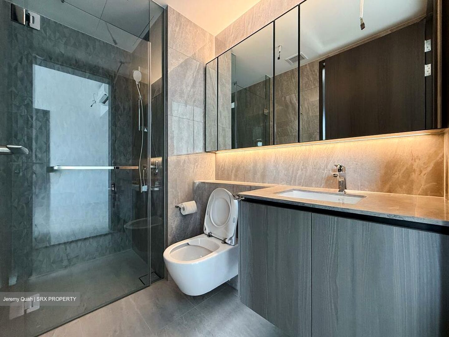 Piccadilly Grand (D8), Apartment #577215061